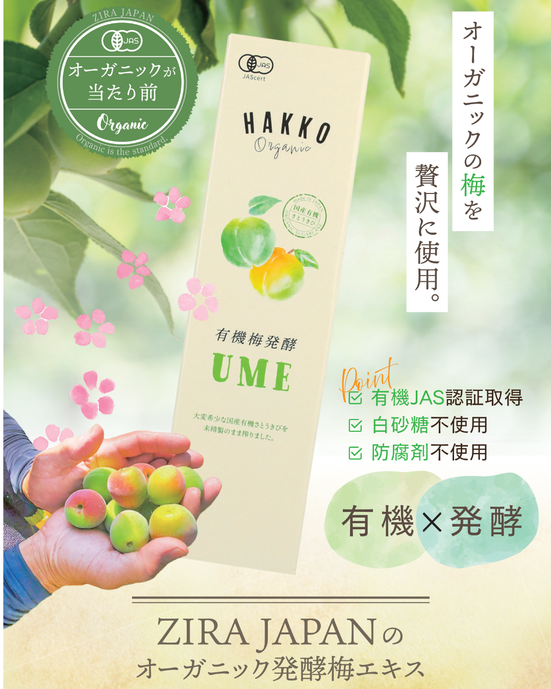 有機発酵梅エキスUME ｜ 500ml ｜クエン酸×ミネラル