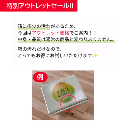 有機發酵梅精UME ｜ 500毫升 ｜檸檬酸x礦物質